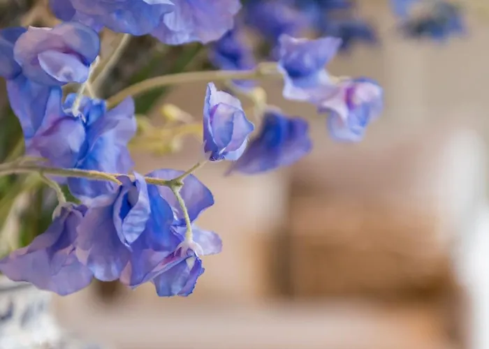 House Of De Swaen 3* Breda