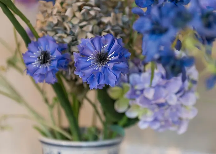 House Of De Swaen 3*